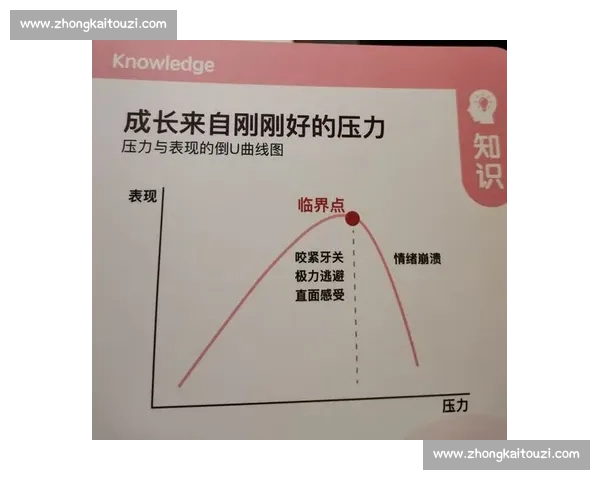 提升抗压能力：如何在高压环境下保持冷静应对挑战与压力